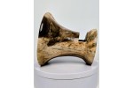 Meet "The Count" - Black Walnut Phone Speaker Stand - Ships in 1-2 days Meet "The Count" - Black Walnut Phone Speaker Stand - Ships in 1-2 days