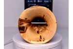 Flaming Box Elder Limited Edition Series Mini Baby Phone Amplifier Stand - Ships in 1-2 Days Flaming Box Elder Limited Edition Series Mini Baby Phone Amplifier Stand - Ships in 1-2 Days