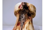 Flaming Box Elder Limited Edition Series Phone Amplifier Stand - Ships in 1-2 Days Flaming Box Elder Limited Edition Series Phone Amplifier Stand - Ships in 1-2 Days