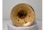 Flaming Box Elder Limited Edition Series Medium Baby Phone Amplifier Stand - Ships in 1-2 Days Flaming Box Elder Limited Edition Series Medium Baby Phone Amplifier Stand - Ships in 1-2 Days