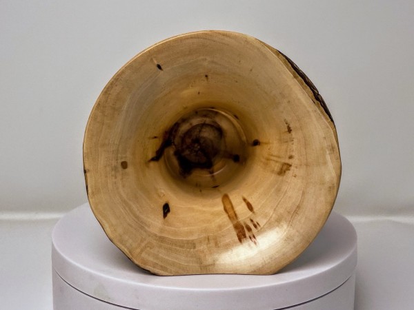 Flaming Box Elder Limited Edition Series Medium Baby Phone Amplifier Stand - Ships in 1-2 Days Flaming Box Elder Limited Edition Series Medium Baby Phone Amplifier Stand - Ships in 1-2 Days