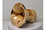 Flaming Box Elder Limited Edition Series Mini Baby Phone Amplifier Stand - Ships in 1-2 Days Flaming Box Elder Limited Edition Series Mini Baby Phone Amplifier Stand - Ships in 1-2 Days