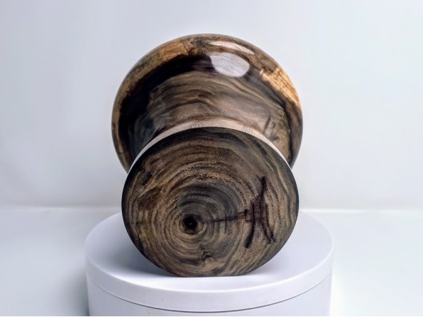 Meet "Baroni" - Black Walnut Phone Speaker Stand - Ships in 1-2 days