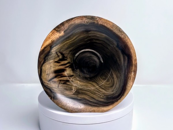 Meet "Baroni" - Black Walnut Phone Speaker Stand - Ships in 1-2 days