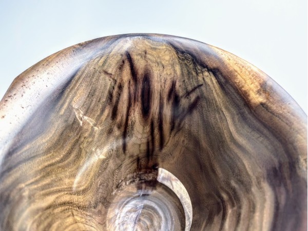 Meet "Baroni" - Black Walnut Phone Speaker Stand - Ships in 1-2 days