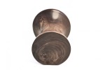 "Augustine" Regular Sized Signature Series Phone Amplifier Stand - Ships in 1-2 days