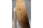 10" Low-Profile Spalted Ash Bowl with Natural Bore Holes