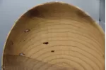 10" Low-Profile Spalted Ash Bowl with Natural Bore Holes