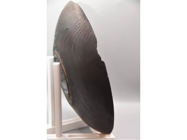 11" Shou Sugi Ban Ash Bowl with Stabilized Rim Decay