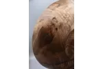 12" Spalted Ash Centerpiece Bowl with Live Bark Inclusion