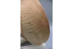 Figured Ash Bowl with Natural Knot Detail