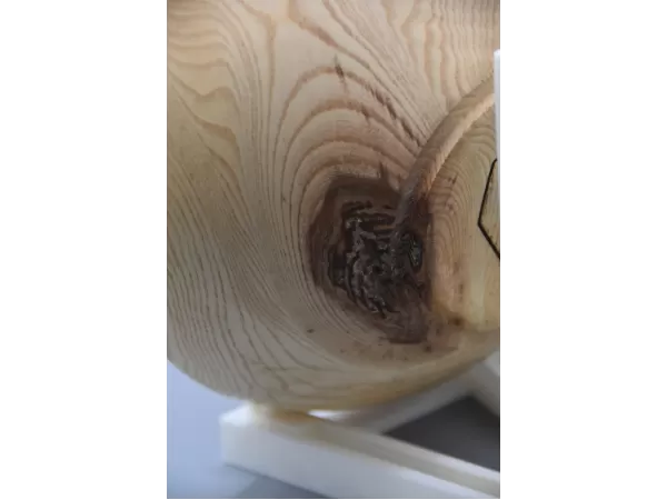 Figured Ash Bowl with Natural Knot Detail