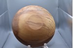 The "High Contrast" Spalted Beech Bowl