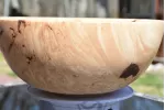 The Wildwood Sovereign: 12-Inch Figured Maple Burl Bowl The Wildwood Sovereign: 12-Inch Figured Maple Burl Bowl