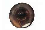 "Haydn" Regular Sized Signature Series Phone Amplifier Stand - Ships in 1-2 days
