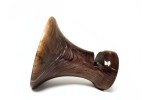 "Iridescent" Mega Sized Signature Series Phone Amplifier Stand - Ships in 1-2 days "Iridescent" Mega Sized Signature Series Phone Amplifier Stand - Ships in 1-2 days