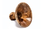 "Kiaat No. 04" Mega Sized African Heirloom Collection Phone Amplifier Stand - Ships in 1-2 days "Kiaat No. 04" Mega Sized African Heirloom Collection Phone Amplifier Stand - Ships in 1-2 days