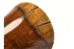 "Monkey Thorn No. 1" Regular Sized African Heirloom Collection Phone Amplifier Stand - Ships in 1-2 days