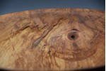The "Painterly" Spalted Ash Low-Profile Bowl