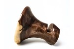 "Refuge" Mega Sized Signature Series Phone Amplifier Stand - Ships in 1-2 days