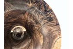 "Socrates" Mega Sized Heirloom English Walnut Phone Amplifier Stand - Ships in 1-2 days "Socrates" Mega Sized Heirloom English Walnut Phone Amplifier Stand - Ships in 1-2 days