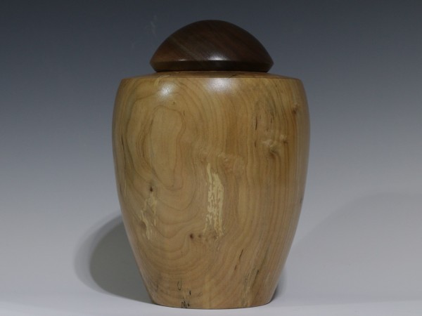 Silver Maple with Walnut threaded lid