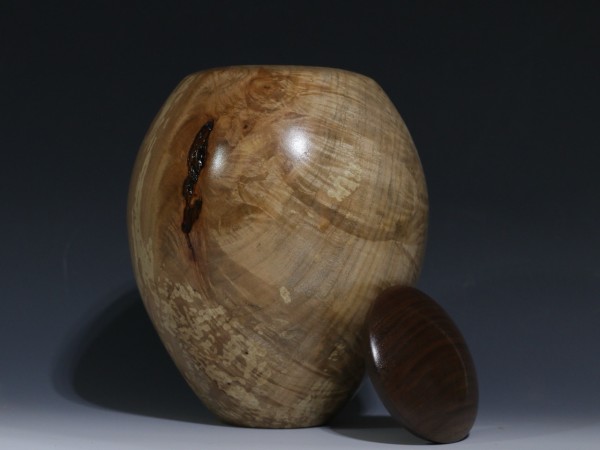 Silver Maple with Walnut threaded lid
