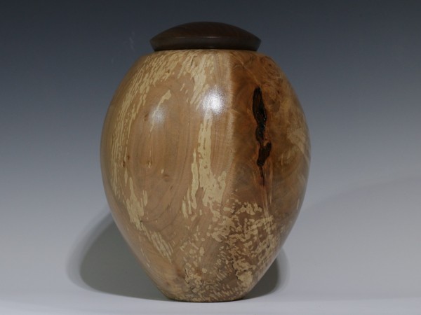 Silver Maple with Walnut threaded lid