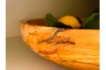 Meet "Mayhem" - A Large Beyond Spalted Butternut (White Walnut) Fruit Bowl | 13" Diameter x 4" Tall | Finished with Food Grade Mineral Oil Meet "Mayhem" - A Large Beyond Spalted Butternut (White Walnut) Fruit Bowl | 13" Diameter x 4" Tall | Finished with Food Grade Mineral Oil