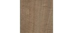 English Walnut